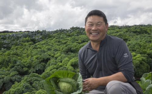Allan Fong, Director, The Fresh Grower