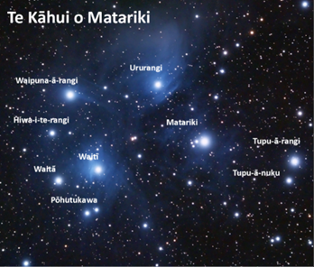 Matariki Stars